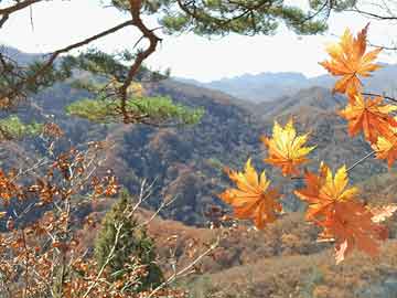 鋁藝扶手 第43頁